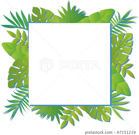 Summer plant frame speech bubble copy space square Summer plant frame speech bubble copy space square 67151219