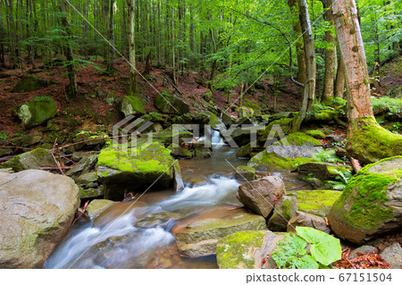 water stream among the rocks in the forest. summer water stream among the rocks in the forest. summer 67151504