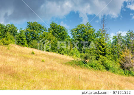 meadows on the hill of mountain in summer. idyllic meadows on the hill of mountain in summer. idyllic 67151532