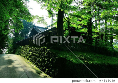 Summer Nikko, Nikko Mountain Rinnoji 67151916