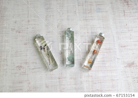 Miscellaneous goods Herbarium 67153154