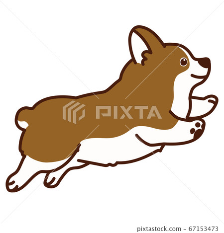 Illustration of running cute corgi with main line Illustration of running cute corgi with main line 67153473