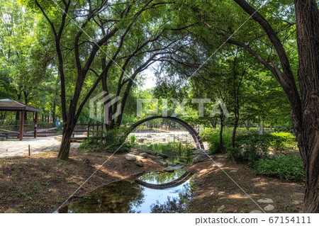 Seoul forest park Seoul forest park 67154111