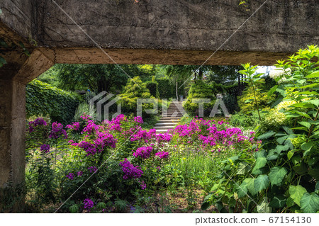 Seoul forest gallery garden Seoul forest gallery garden 67154130