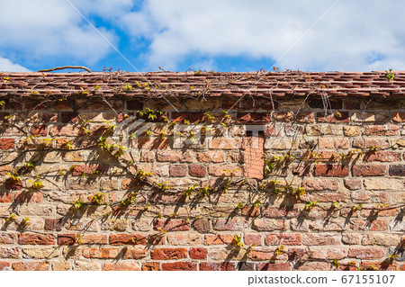 Historical town wall in the city Rostock, Germany Historical town wall in the city Rostock, Germany 67155107