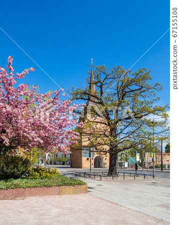 Historical building in the city Rostock, Germany Historical building in the city Rostock, Germany 67155108