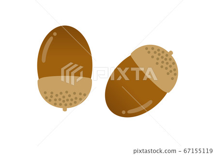 金秋時節橡子圖 金秋時節橡子圖 67155119