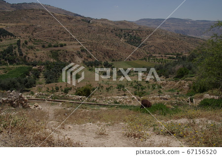 [約旦]安曼，郊區山脈的高山風景 67156520