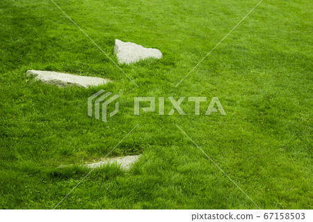 grass and 3 stones copy space 67158503