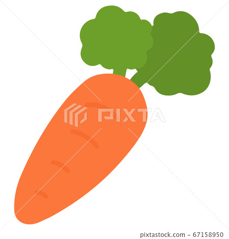 Hand-drawn illustration of a simple and cute carrot No main line 67158950