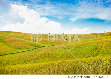 Beautiful view of scenic Tuscany landscape in Val d'Orcia, Italy 67160605