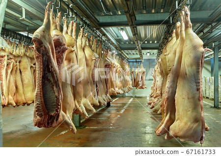 Red meat or animal products at the slaughterhouse. 67161733