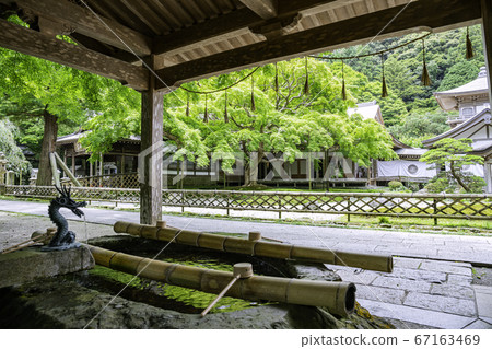 擁有美麗的新鮮綠色植物的賴山淺草寺大台院院（福岡縣to島市） 67163469
