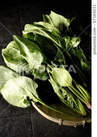 圓點新鮮菠菜 67164031