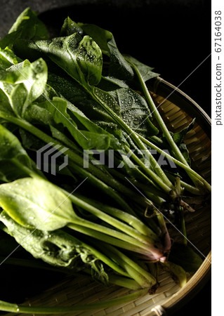 Freshly harvested spinach with polka dots Freshly harvested spinach with polka dots 67164038