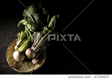 Freshly picked turnip before cooking Freshly picked turnip before cooking 67164637
