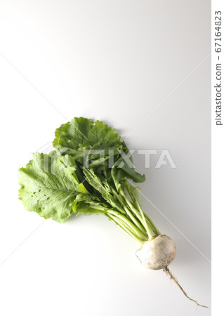 Shooting freshly picked turnips with soil on a white background Shooting freshly picked turnips with soil on a white background 67164823