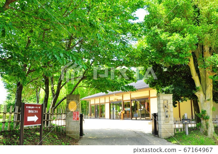 神奈川縣茅崎市茅崎里山公園村屋和新鮮綠色 神奈川縣茅崎市茅崎里山公園村屋和新鮮綠色 67164967