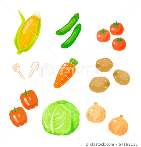 Vector illustration set of handwritten vegetables Vector illustration set of handwritten vegetables 67165115