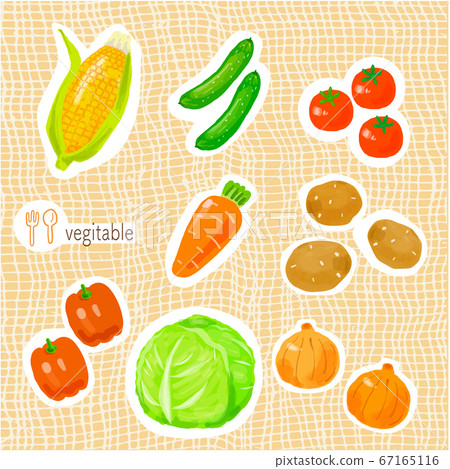 Vector illustration set of handwritten vegetables on natural background Vector illustration set of handwritten vegetables on natural background 67165116