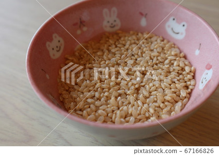 糙米放在一個孩子的碗裡 67166826