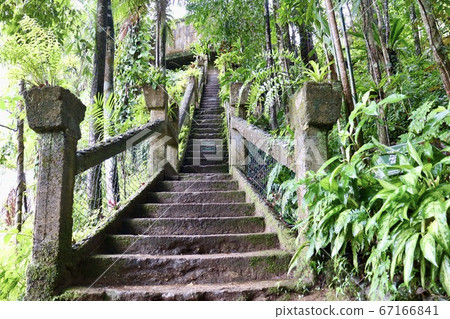 [澳大利亞] Paronella公園 67166841