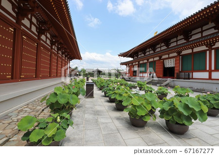 Yakushiji Temple during the rainy season 67167277