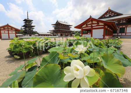 雨季的彌久寺 雨季的彌久寺 67167346