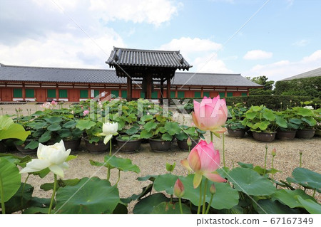 Yakushiji Temple during the rainy season 67167349