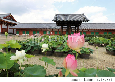Yakushiji Temple during the rainy season 67167351