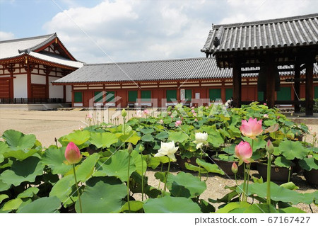 Yakushiji Temple during the rainy season Yakushiji Temple during the rainy season 67167427