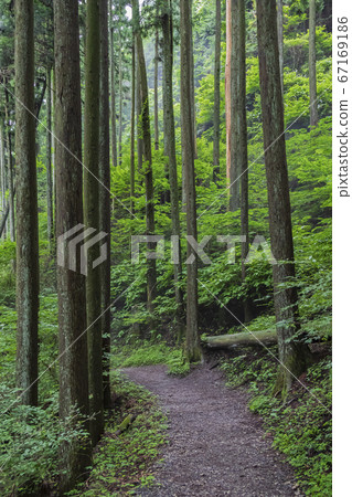 三嶽山登山步初夏景色 67169186