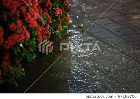 情緒，雨天，背景虛化 67169706
