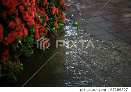 情緒，雨天，背景虛化 67169707