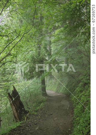 三嶽山登山步初夏景色 67169753