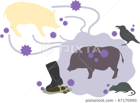 [Pig] Image of infectious disease transmission route --A Image of livestock pig farming infectious disease 67170990
