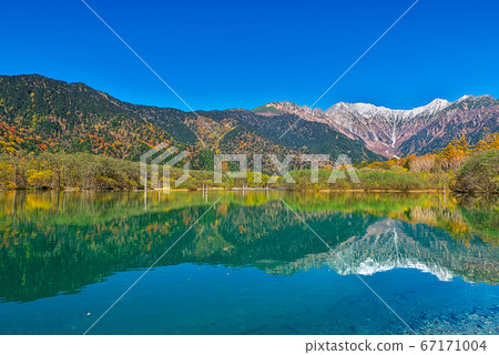 大正池上高地的秋葉[長野縣] 67171004