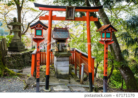 Kinpusenji Temple, Yoshitomi Inari Daimyojin (Yoshinoyama, Yoshino-cho, Yoshino-gun, Nara) April 2020 67171170