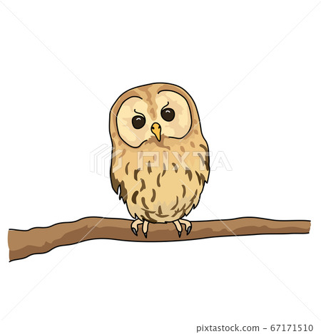 Mori owl Mori owl 67171510