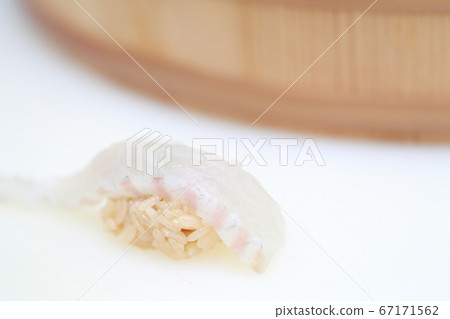 紅鯛魚飯壽司 67171562