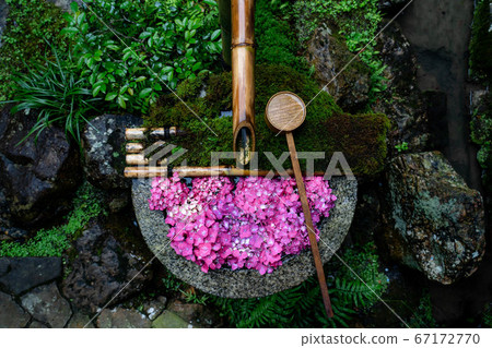 柳谷觀音羊谷寺京都繡球花水 柳谷觀音羊谷寺京都繡球花水 67172770