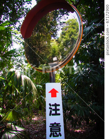 curve-mirror curve-mirror 67172900