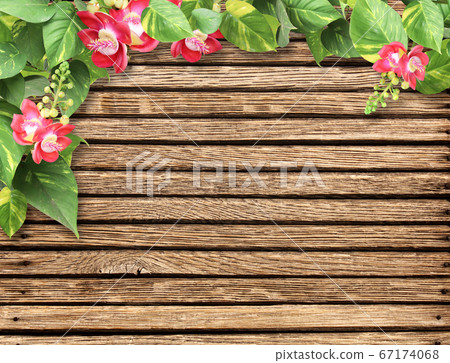 Frame with wooden boards, flower and tropical Frame with wooden boards, flower and tropical 67174068