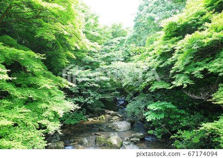 海南,大興寺,千年評論 海南,大興寺,千年評論 67174094