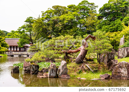 (Shiga Prefecture) Hikone Castle/Genkyu Garden (Shiga Prefecture) Hikone Castle/Genkyu Garden 67175692