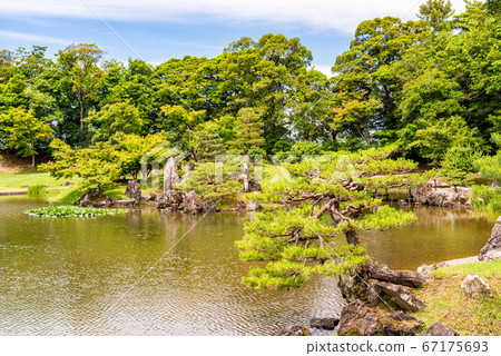 (Shiga Prefecture) Hikone Castle/Genkyu Garden (Shiga Prefecture) Hikone Castle/Genkyu Garden 67175693
