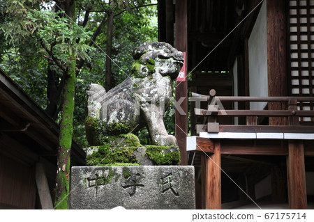 巖谷神社 巖谷神社 67175714