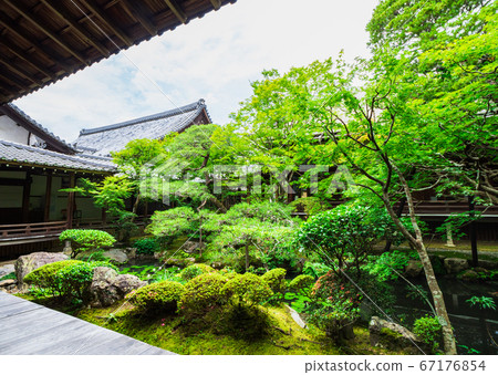 京都永觀堂禪林寺北條庭園 京都永觀堂禪林寺北條庭園 67176854
