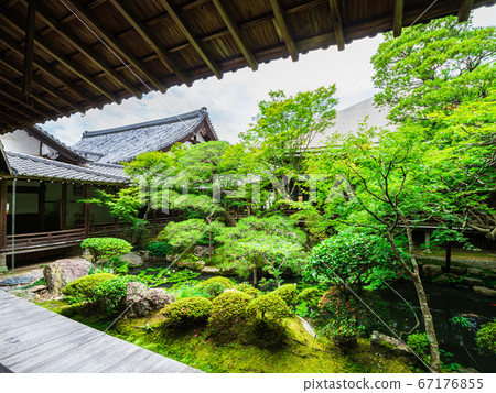 京都永觀堂禪林寺北條庭園 京都永觀堂禪林寺北條庭園 67176855