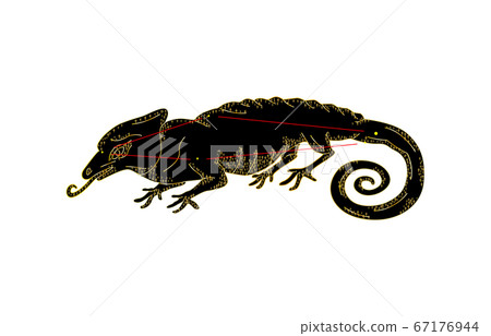 88 constellation with shadow Black Chameleon 67176944